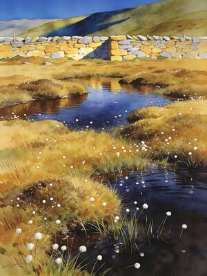 Mourne Mountains Summit Panorama Watercolor Canvas Print