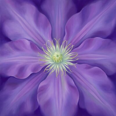 Purple Clematis Star Canvas Wall Art