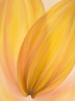 Sunflower Petal Ray Botanical Canvas Painting