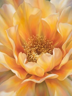 Prickly Pear Bloom Desert Canvas Wall Art