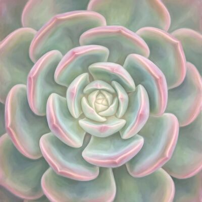 Succulent Rosette Canvas Wall Art