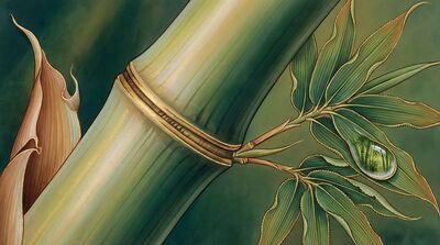 Bamboo Close Up Botanical Detail Canvas Wall Art