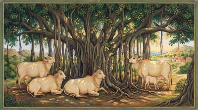 Sacred Cows Under Banyan Tree Canvas Wall Art