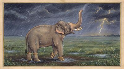 Elephant Trunk Raised in Rain Canvas Wall Art