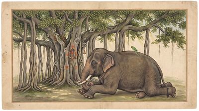 Old Elephant Under Banyan Tree Canvas Painting
