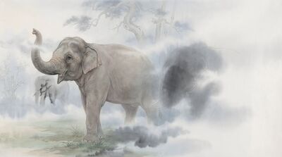 Elephant Emerging from Morning Mist Canvas Wall Art