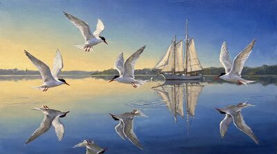 Terns Harbor Glassy Water Canvas Painting