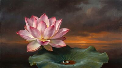 Sacred Lotus Oil Painting Canvas Wall Art