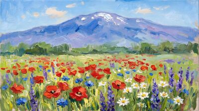 Mountain Wildflower Meadow Noon Oil Painting Canvas Wall Art