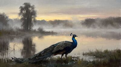 Peacock Misty Lake Dawn Oil Painting Canvas Wall Art