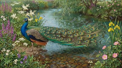 Peacock Full Display Stream Canvas Wall Art