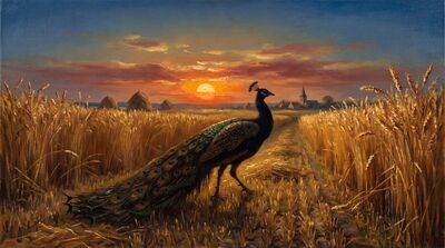Peacock Golden Wheat Fields Canvas Wall Art