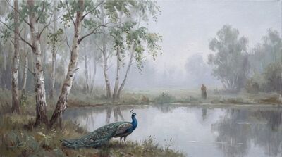 Peacock Silver Birch Grove Canvas Painting