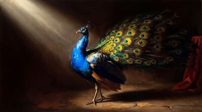 Peacock Tenebrism Dramatic Light Canvas Wall Art