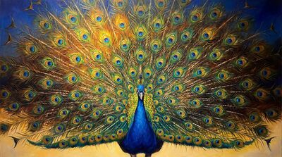 Supreme Peacock Full Display Canvas Painting