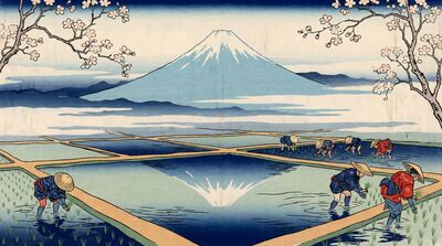 Mount Fuji Behind Rice Paddies Canvas Painting