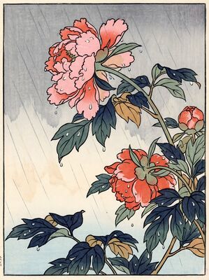Peonies in Rain Canvas Painting
