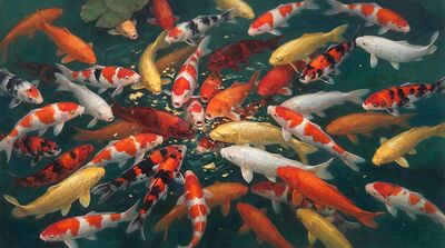 Abundant Overflowing Koi Canvas Painting