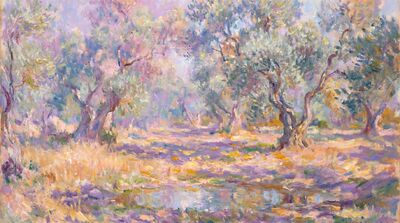 Olive Grove Canvas Painting