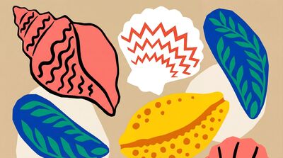 Matisse Inspired Seashell Collection Canvas Wall Art