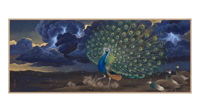 Peacock Monsoon Rain Dance Canvas Wall Art