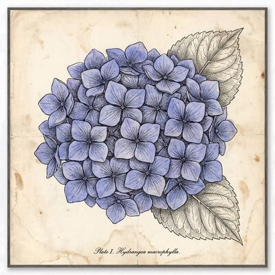 Vintage Botanical Hydrangea Globe Canvas Painting