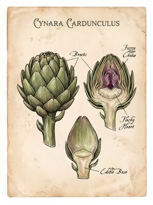 Vintage Botanical Globe Artichoke Canvas Wall Art