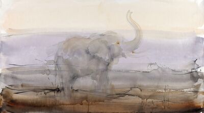 Color Field Elephant Canvas Wall Art