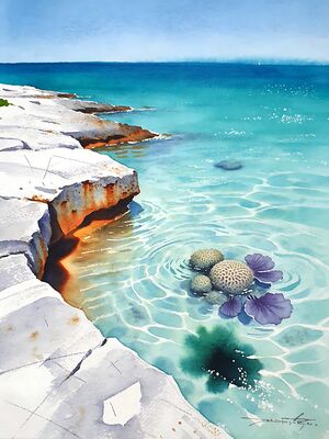 Cozumel Crystal Caribbean Reef Coast Watercolor Canvas Print