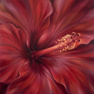 Hibiscus Crimson Botanical Canvas Wall Art