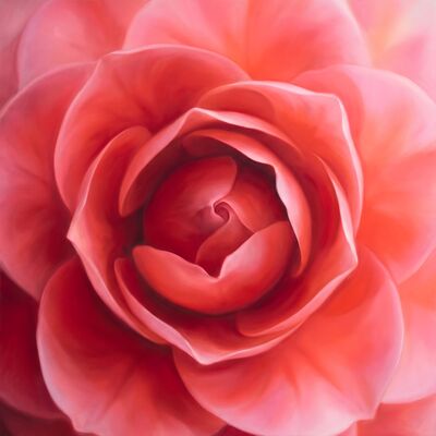 Camellia Perfection Botanical Canvas Painting