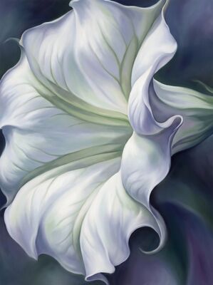 Datura Moonflower Canvas Wall Art