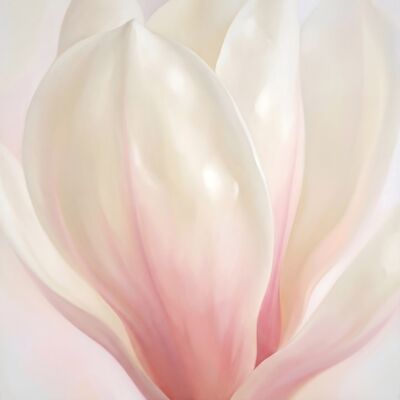 Magnolia Petal Ivory Floral Canvas Wall Art