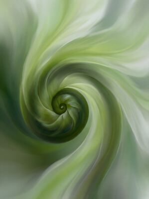 Unfurling Fern Leaf Canvas Wall Art