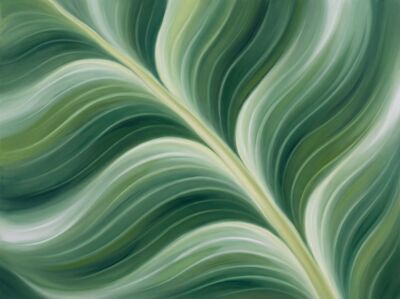 Banana Leaf Abstract Botanical Canvas Wall Art