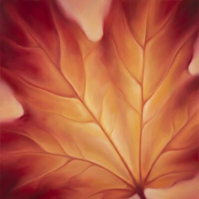 Botanical Autumn Maple Close Canvas Painting