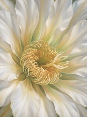 Botanical Saguaro Bloom White Canvas Painting