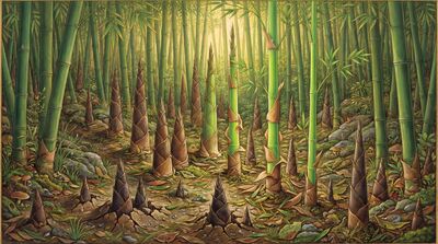 Young Bamboo Shoots New Growth Canvas Wall Art