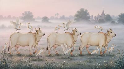 Sacred Cows Cattle Egrets Mist Canvas Wall Art