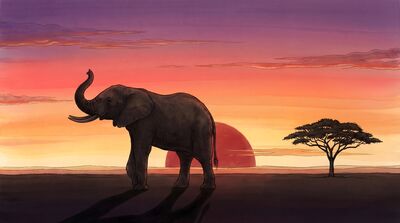 Elephant Silhouette Grand Sunset Canvas Painting