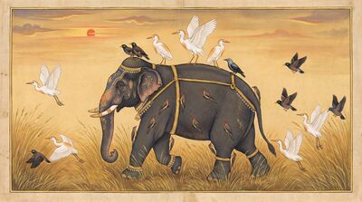 Elephant with Birds Symbiosis Nature Canvas Wall Art