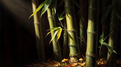 Bamboo Dark Tenebroso Canvas Wall Art