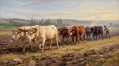 Six Oxen Plowing Field Oil Painting Canvas Wall Art