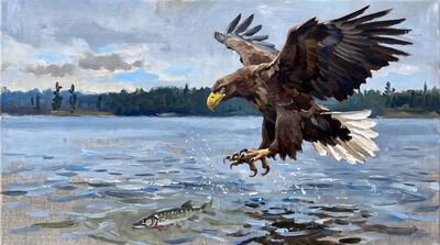White Tailed Eagle Swooping Canvas Painting