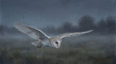 Barn Owl Moonlit Hunt Canvas Wall Art