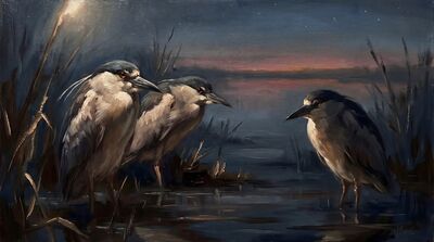 Night Herons Twilight Marsh Canvas Painting