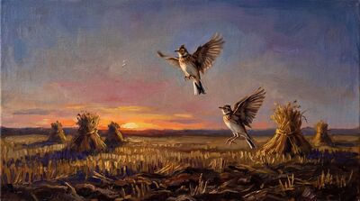 Skylark Rising Harvest Field Canvas Wall Art