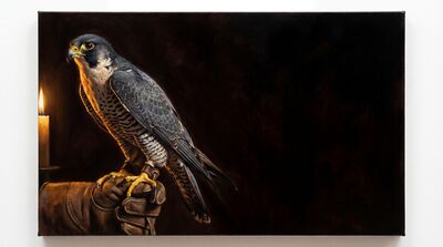 Peregrine Falcon Portrait Canvas Wall Art