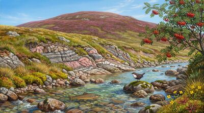 Highland Mountain Stream Canvas Wall Art