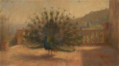 Peacock Mediterranean Terrace Oil Painting Canvas Wall Art
